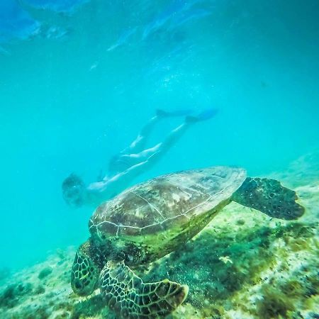 Tailua Beach Fales Manase Екстериор снимка